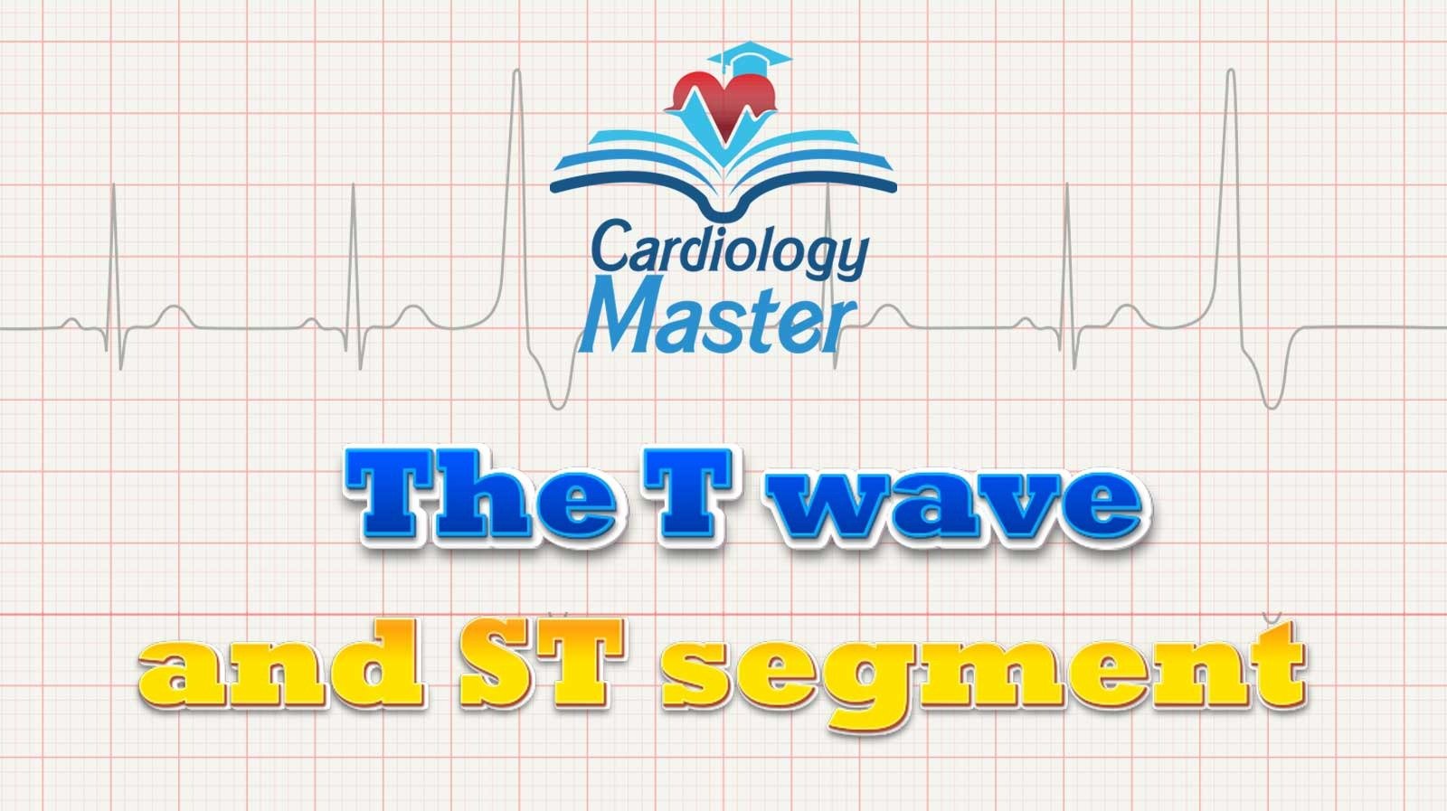 3. The T wave and the ST segment