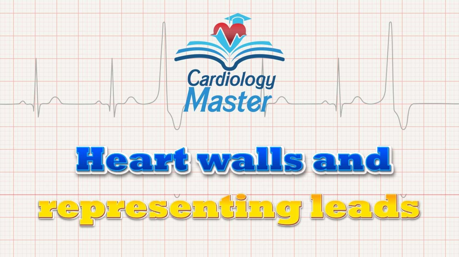 1. The walls of the heart and the electrodes representing them