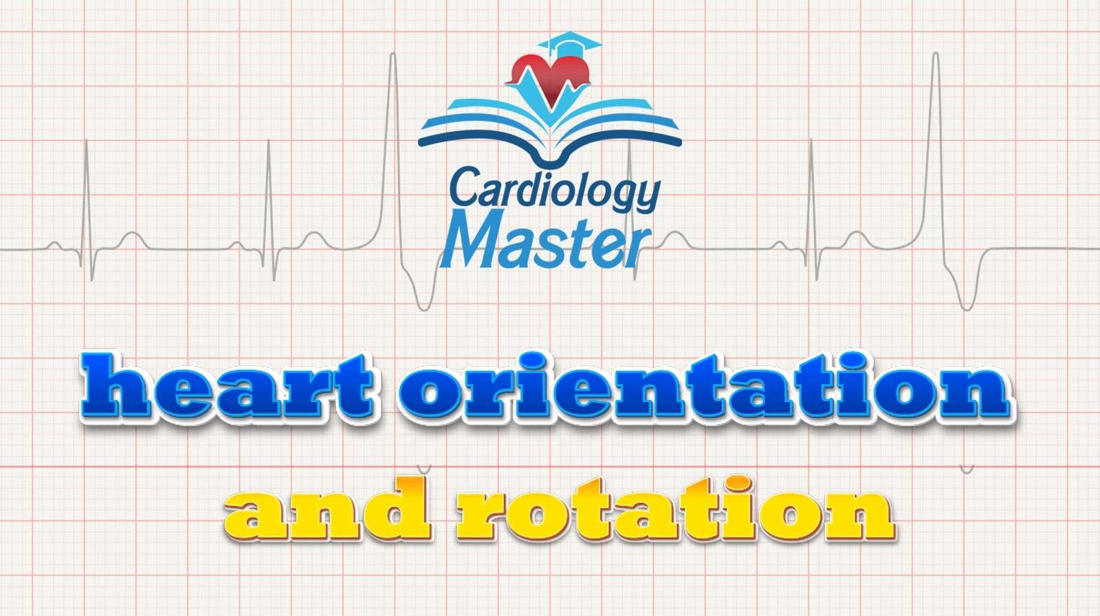 8. Heart orientation and rotation
