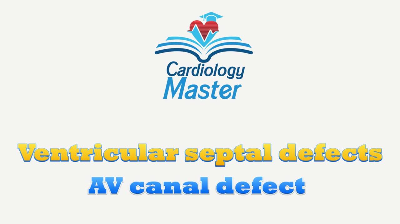 Ventricular septal defects and AV canal defect
