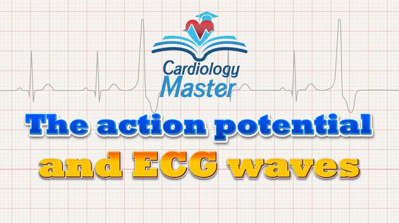 1. The action potential and impulse generation