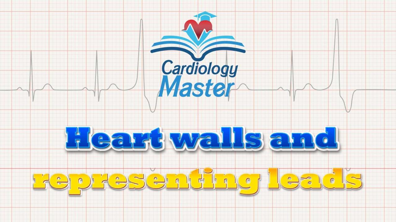 1. The walls of the heart and the electrodes representing them