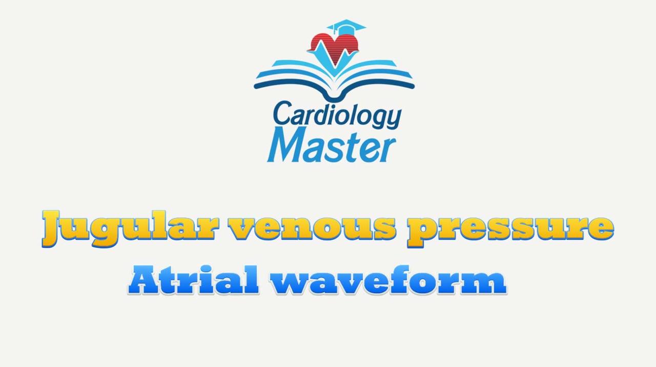 Jugular venous pressure